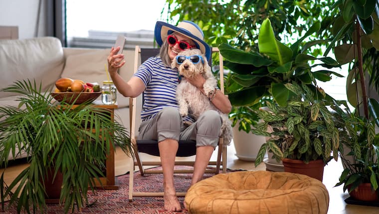 ¿irse De Vacaciones? Deja Que Tu Perro Se Desestrese Contigo
